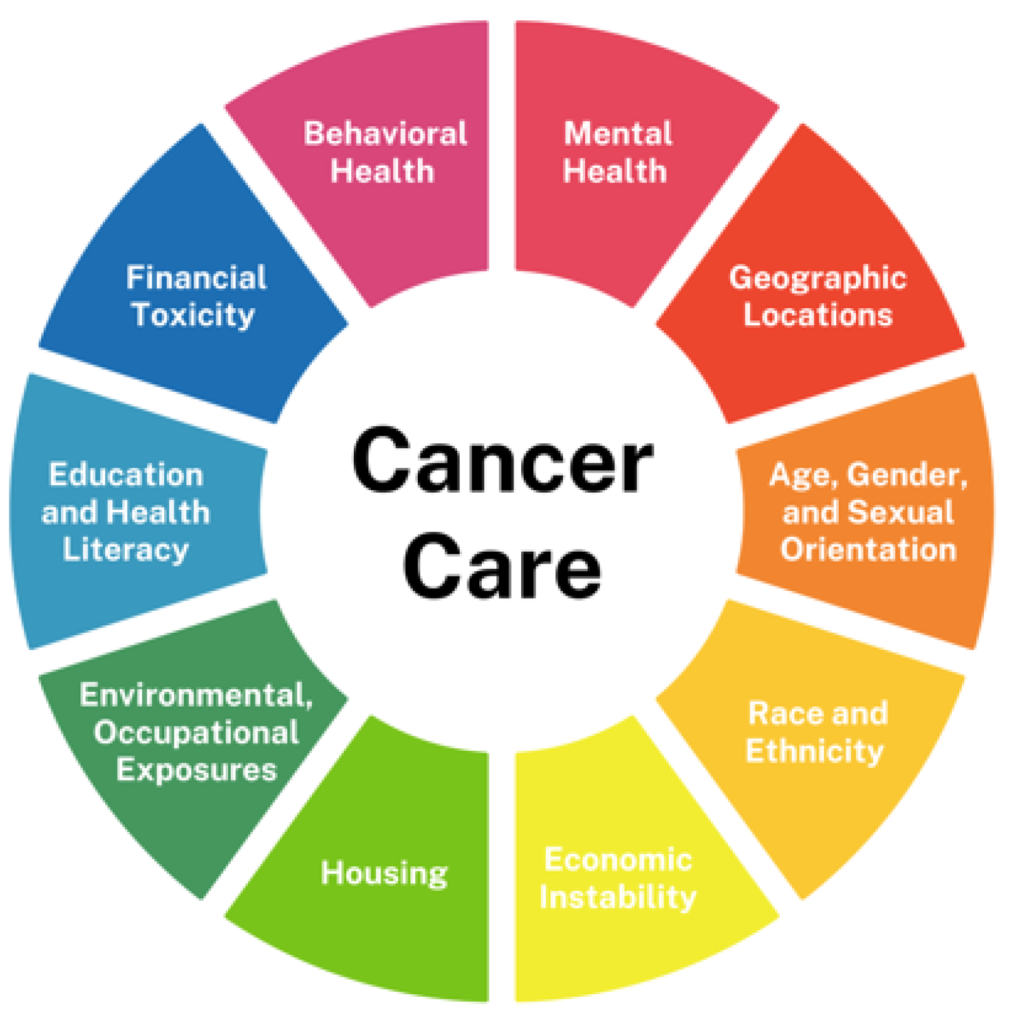 How Generic Oncology Medicines Reduce the Financial Burden of Cancer Treatment 2 Economic journey of Cancer Care
