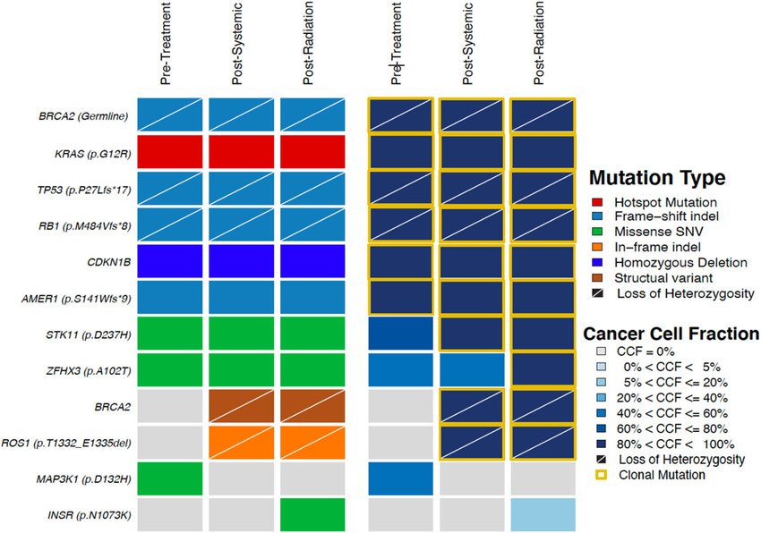 AKT Mutation Alterations in Oncology: Molecular Drivers and Targeted Inhibitor Protocols 3 Heatmap demonstrating identified genomic alterations in each sample pre treatment liver