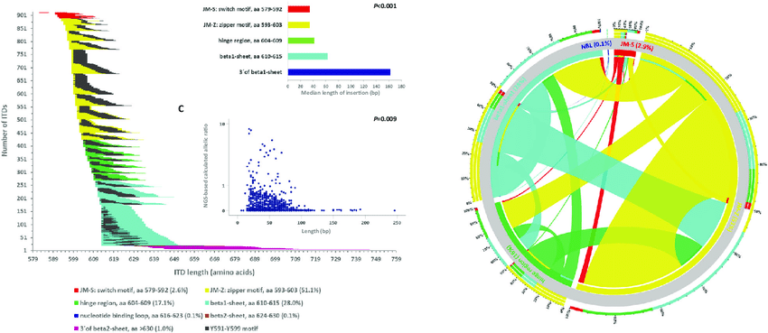 FLT3 Mutation Ratify Trial Infograph