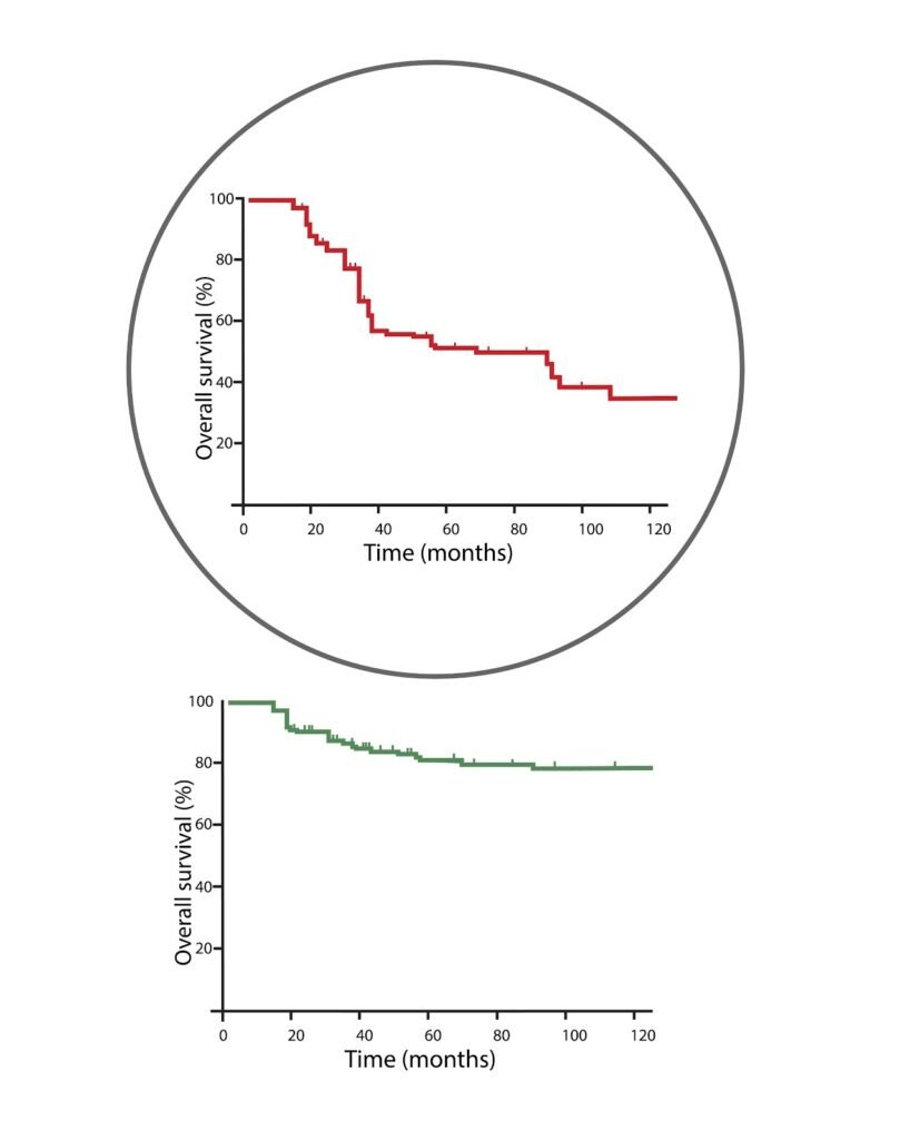 KRAS G12C Mutation in Advanced NSCLC: Targeted Therapies and Clinical Management 1 image 1