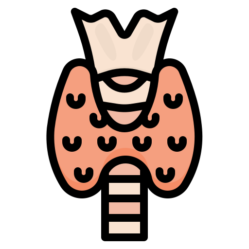 Thyroid Organ