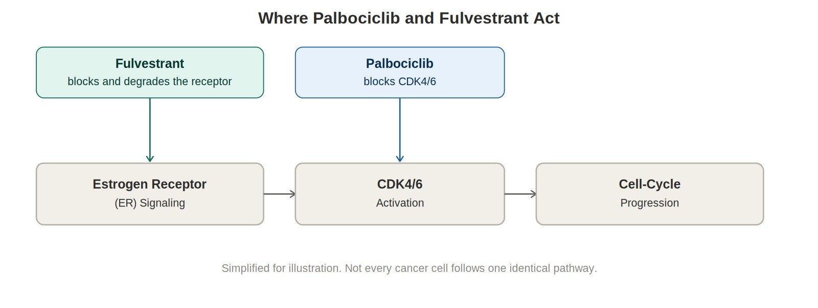 diagram mechanism pathway