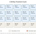 Palbociclib and Fulvestrant Treatment calender