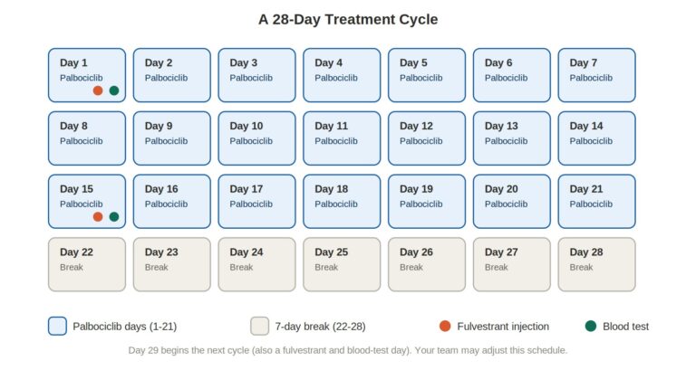 Palbociclib and Fulvestrant Treatment calender