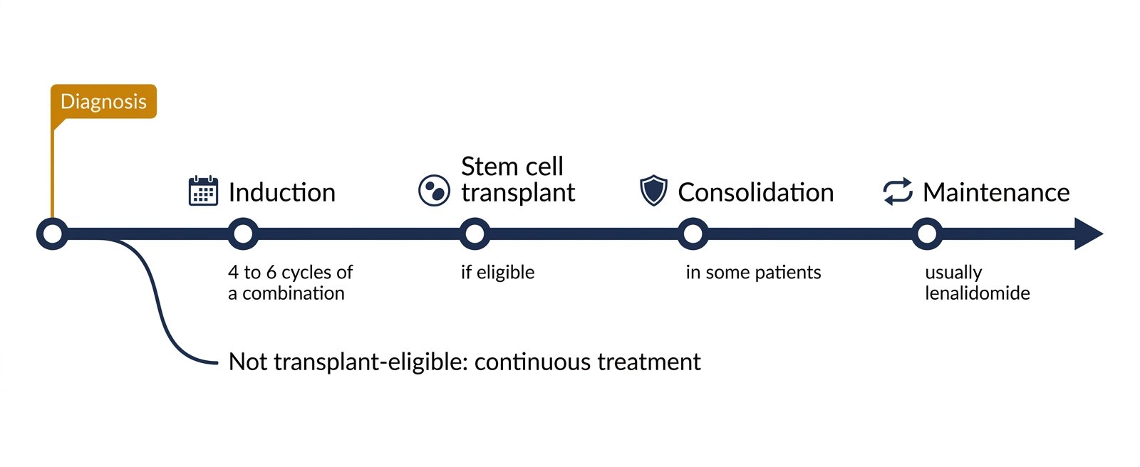 myeloma treatment phases induction transplant maintenance